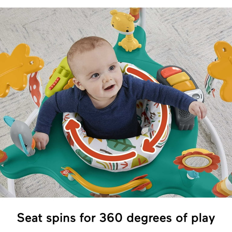 Fisher-Price Baby Bouncer Whimsical Forest