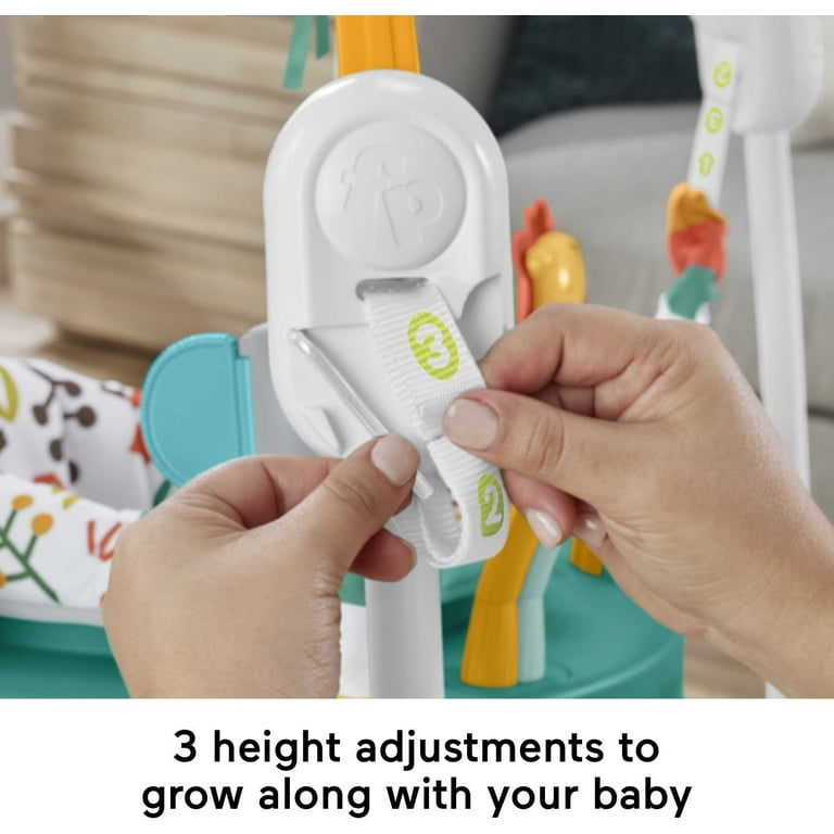 Fisher-Price Baby Bouncer Whimsical Forest