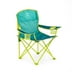 Firefly Outdoor Gear Youth Camping Chair